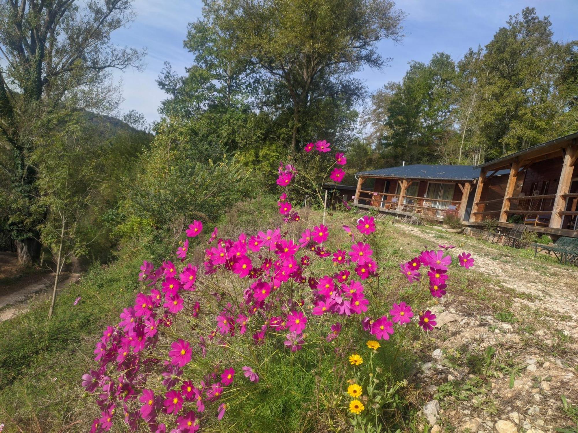 Source Nature Mas-d'Azil Rom bilde